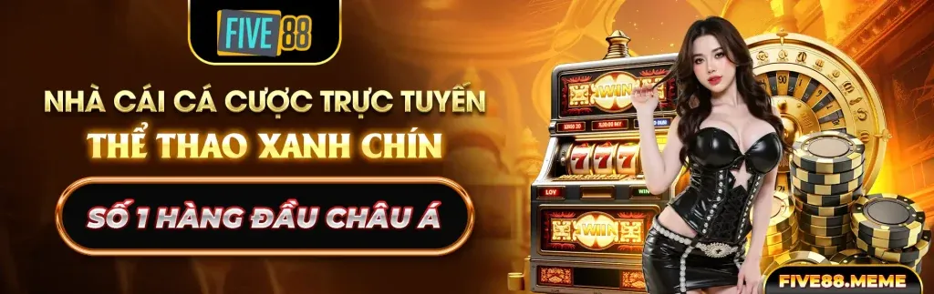 Tin tức và cập nhật