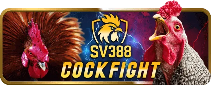 Mẹo chơi Baccarat hiệu quả tại 89bet01